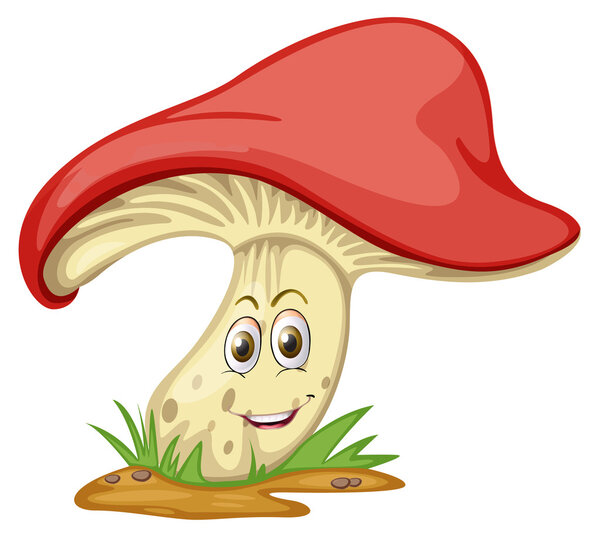 a mushroom with face