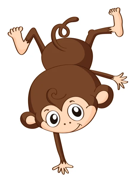 A monkey — Stock Vector