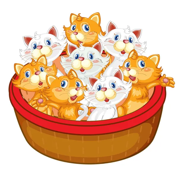 Kittens — Stock Vector