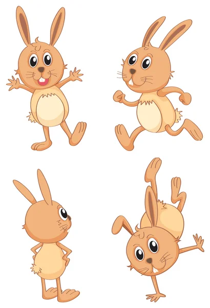 Lapins — Image vectorielle