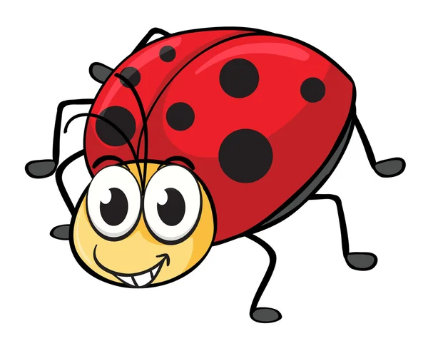 A ladybug — Stock Vector