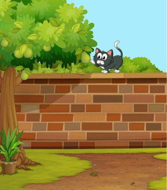 Bir kedi.