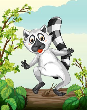 Yeşil doğanın bir lemur