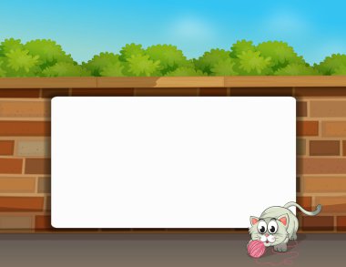 bir kedi ve bir beyaz tahta