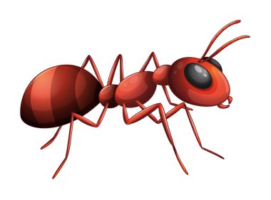 An ant clipart