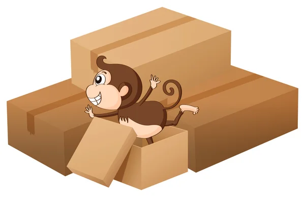 Um macaco e caixas — Vetor de Stock