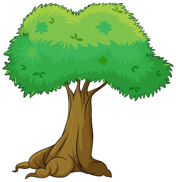 Een boom — Stockvector