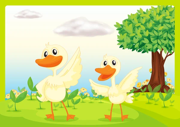 Patos en la naturaleza — Vector de stock