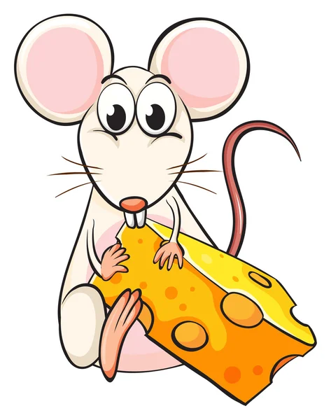 Un ratón y queso — Vector de stock