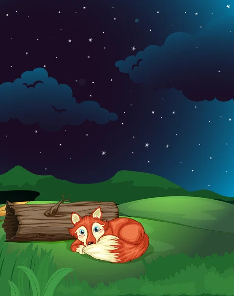 Un zorro yace al lado de la madera en la noche — Vector de stock