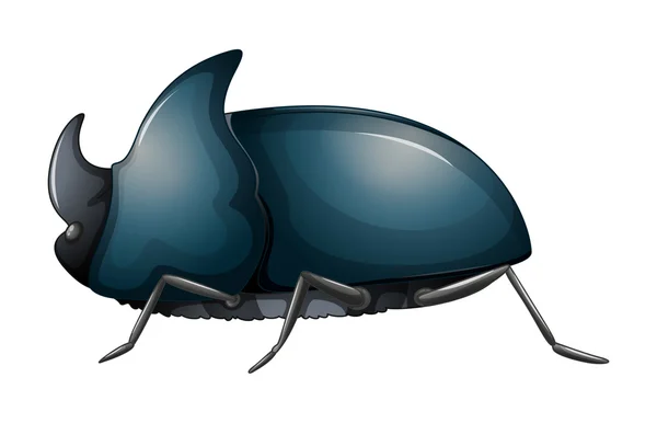 A rhinoceros beetle — Stock Vector