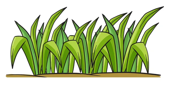 Трава — стоковый вектор
