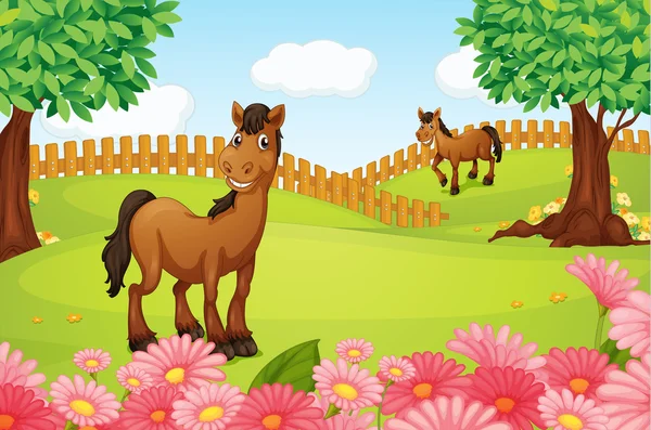 Caballos en un campo — Vector de stock