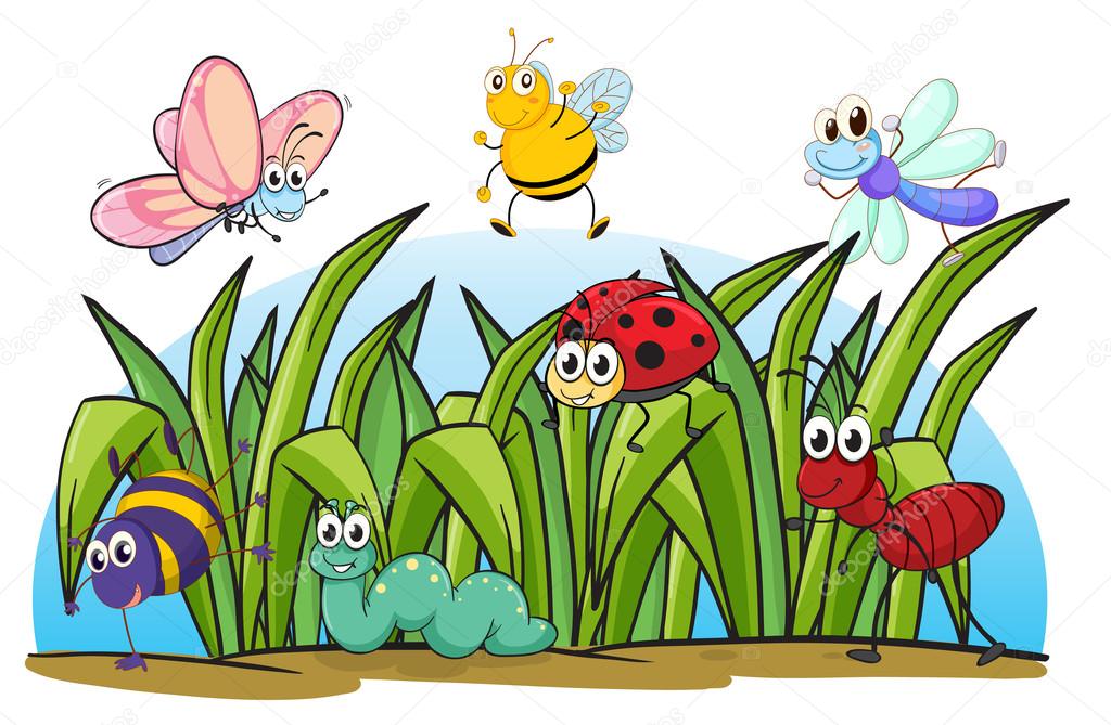 Various insects and grass