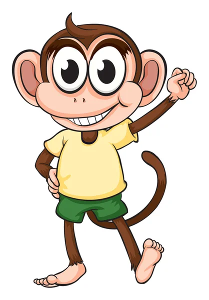 A monkey — Stock Vector