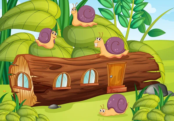 Escargots et maison en bois — Image vectorielle