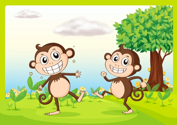 Two monkeys in nature — Stock Vector