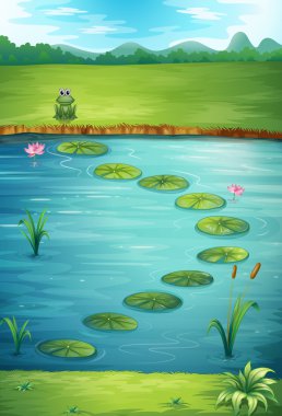 A frog and a lake