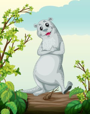 gülümseyen bir su samuru