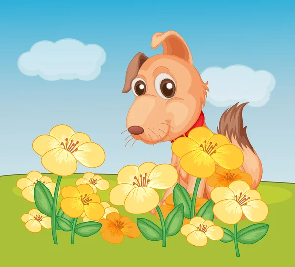 犬と花の植物 — ストックベクタ
