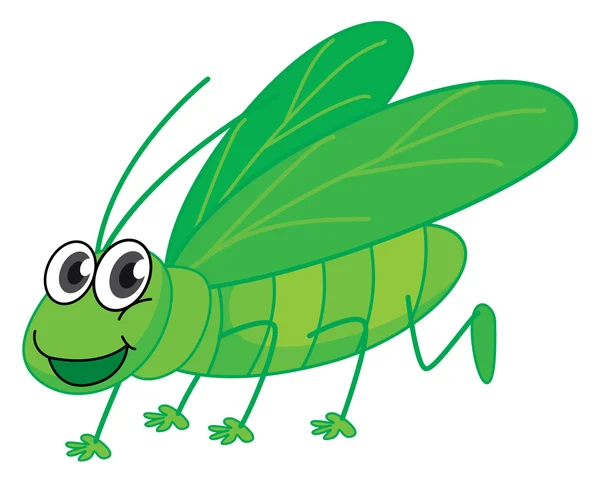 A smiling grasshopper — Stock Vector