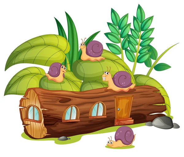 Ślimaki i dom z drewna — Wektor stockowy