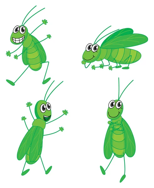 Four grasshoppers — Stock Vector