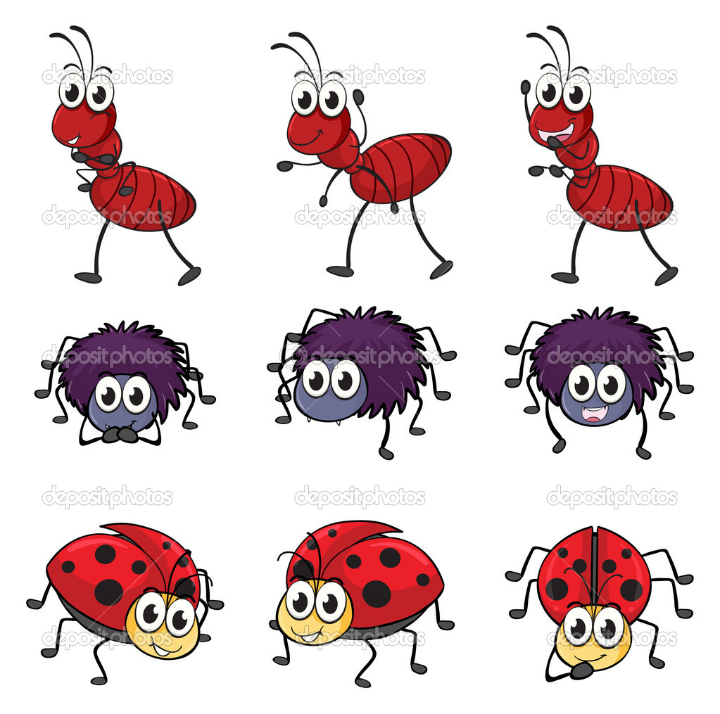 A spider, a ladybug and an ant