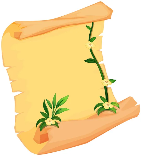 A plant and a scroll — Stock Vector