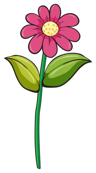 Eine Blume — Stockvektor