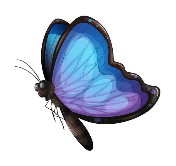 Бабочка. — стоковый вектор