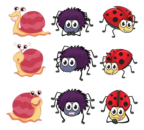 A spider, a ladybug and a snail — Stock Vector