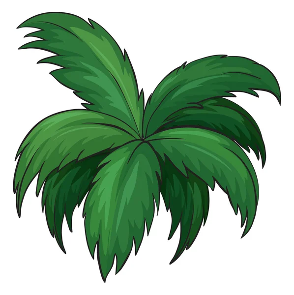 Una planta — Vector de stock