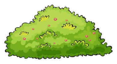 Green bush clipart