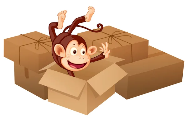 A smiling monkey and boxes — Stock Vector