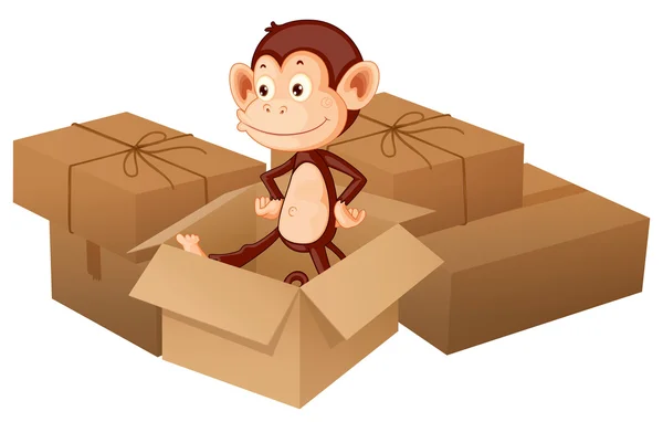 Gülümseyen bir maymun ve kutuları — Stok Vektör