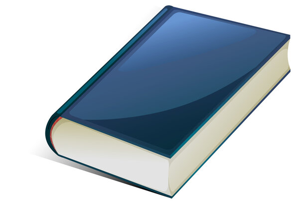 Синяя книга
