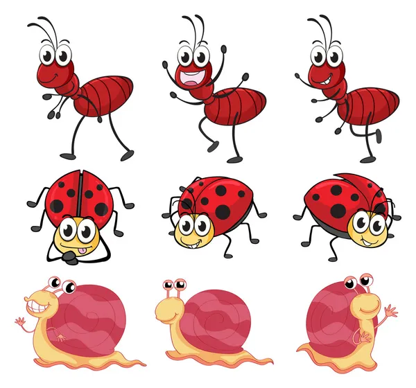 Un escargot, une coccinelle et une fourmi — Image vectorielle