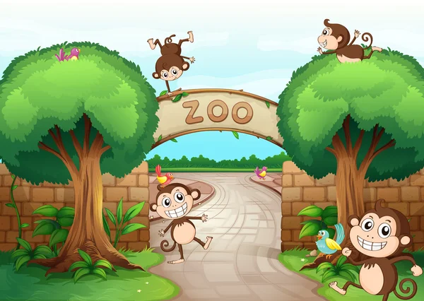 Affen im Zoo — Stockvektor