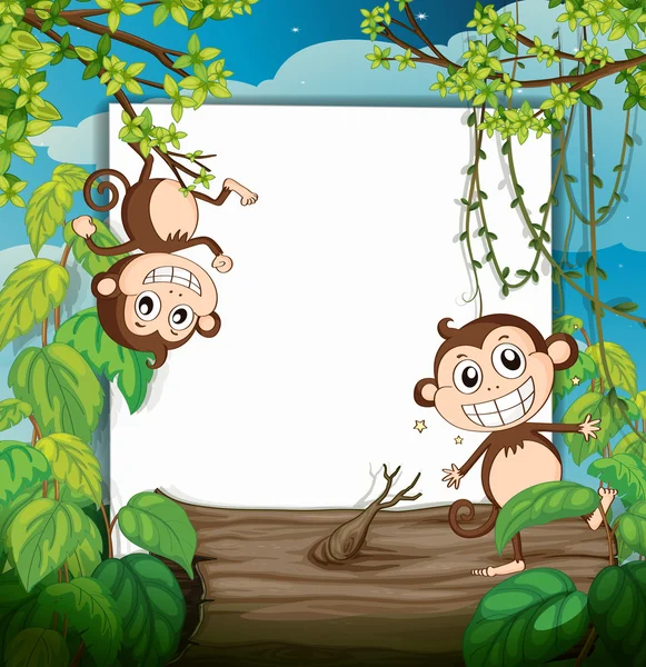 Monkeys and white board — Stock Vector