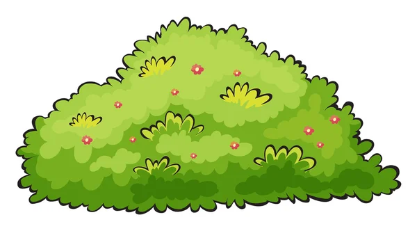 茂みストックベクター ロイヤリティフリー茂みイラスト Depositphotos 茂みストックベクター ロイヤリティフリー茂みイラスト Depositphotos