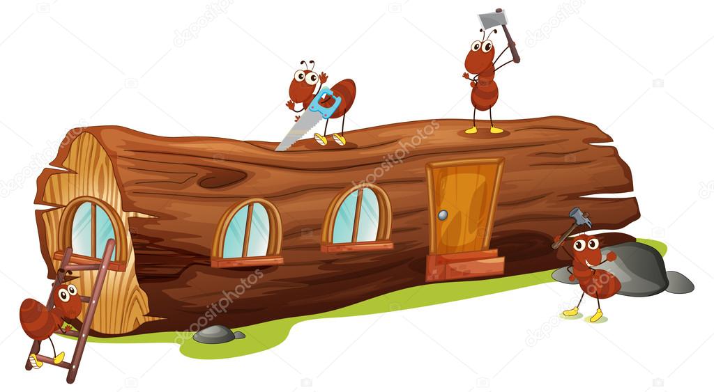Ants and a wood house