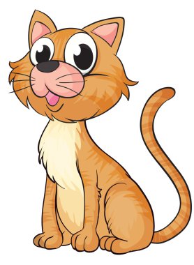 gülümseyen bir kedi