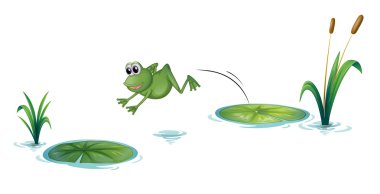 jumping frog