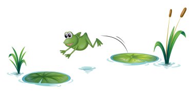 A jumping frog