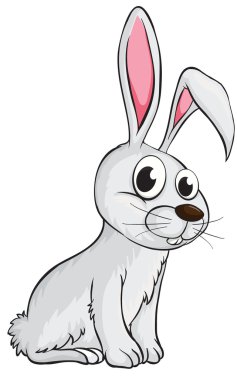 gülümseyen bir tavşan