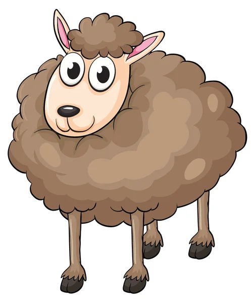 Ovce. — Stockový vektor