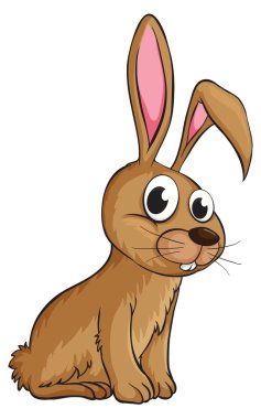 gülümseyen bir tavşan