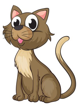 gülümseyen bir kedi