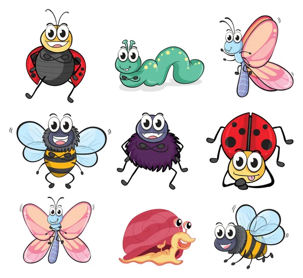 Various insects and animals — Stock Vector